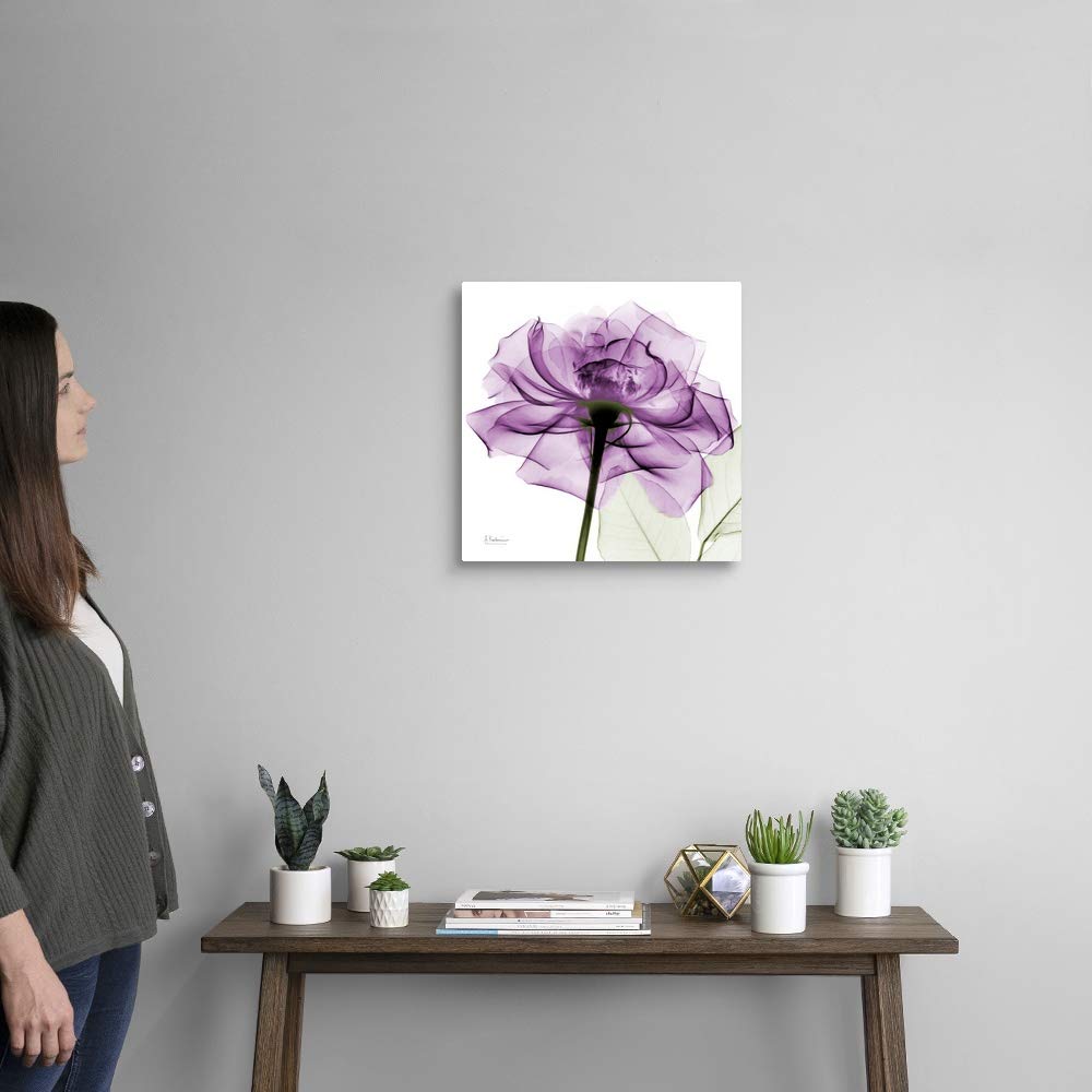 Canvas On Demand Purple Rose X-Ray Photograph Canvas Wall Art Print By Albert Koetsier, Home Decor, Artwork, 16''X16''