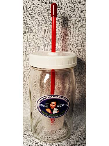 Kefir Fermenter: Parts Set For Use With Jar (Wide Mouth) You Already Have With Kefir Grains