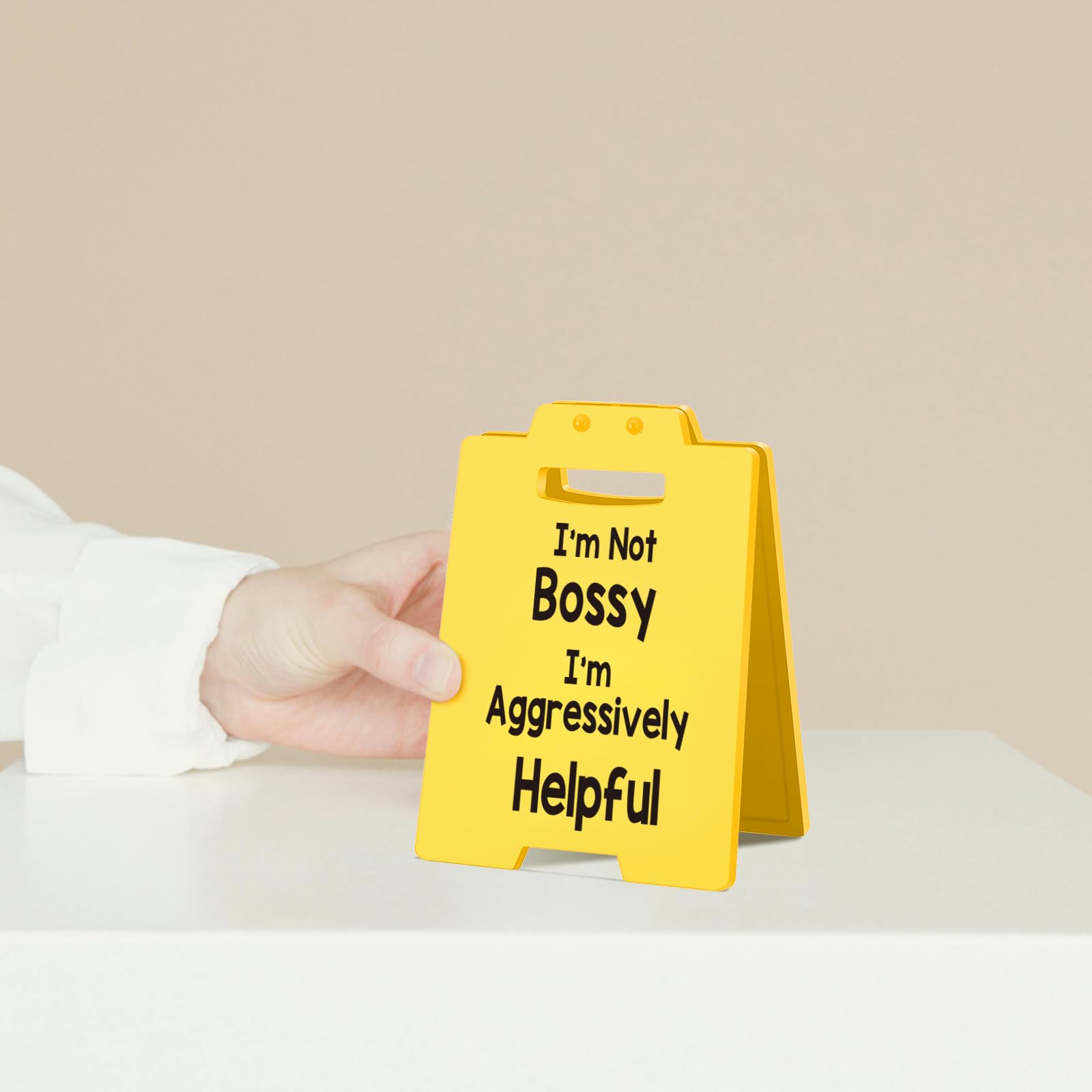 Funny Office Desk Sign - Sarcastic Office Decor for Women, Boss, Manager or Admin - Gag Gift for Coworkers, Employees, or Team L