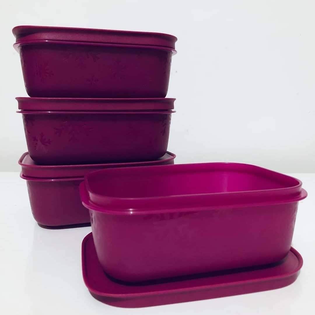 Tupperware Freezer Storage 2 X 450Ml  19 Cup