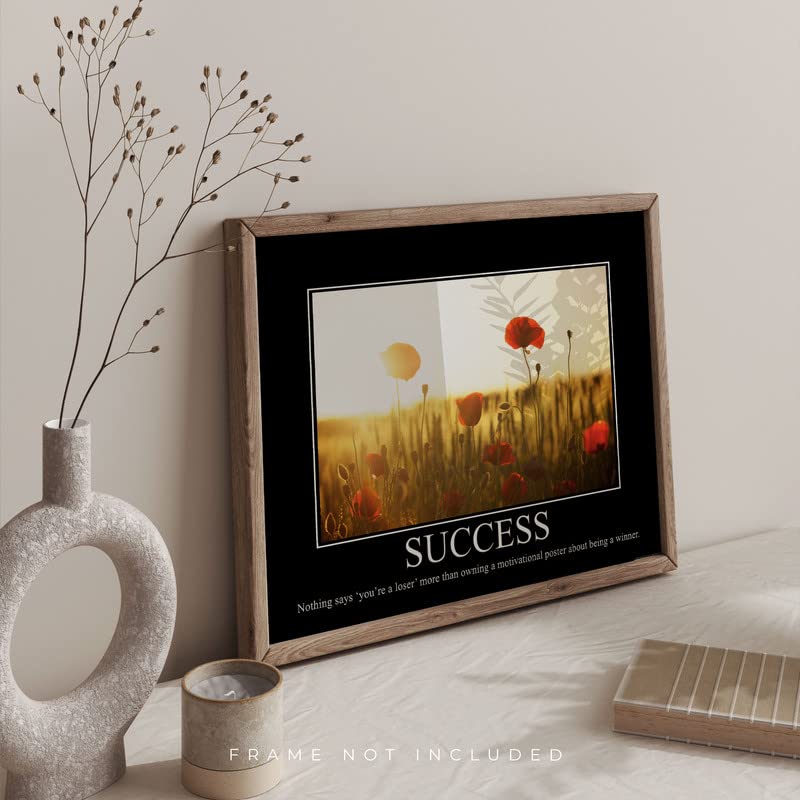 Success Demotivational Poster Ironic Snarky Funny Sarcastic Office Wall Decor Art Print 11X14 Inches Unframed