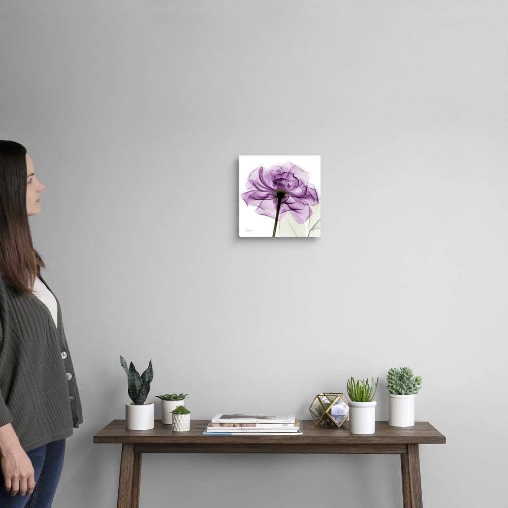 Canvas On Demand Purple Rose X-Ray Photograph Canvas Wall Art Print By Albert Koetsier, Home Decor, Artwork, 10''X10''