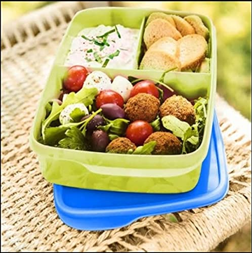 Tupperware Plastic Kids Divide Lunch - 1 Pc
