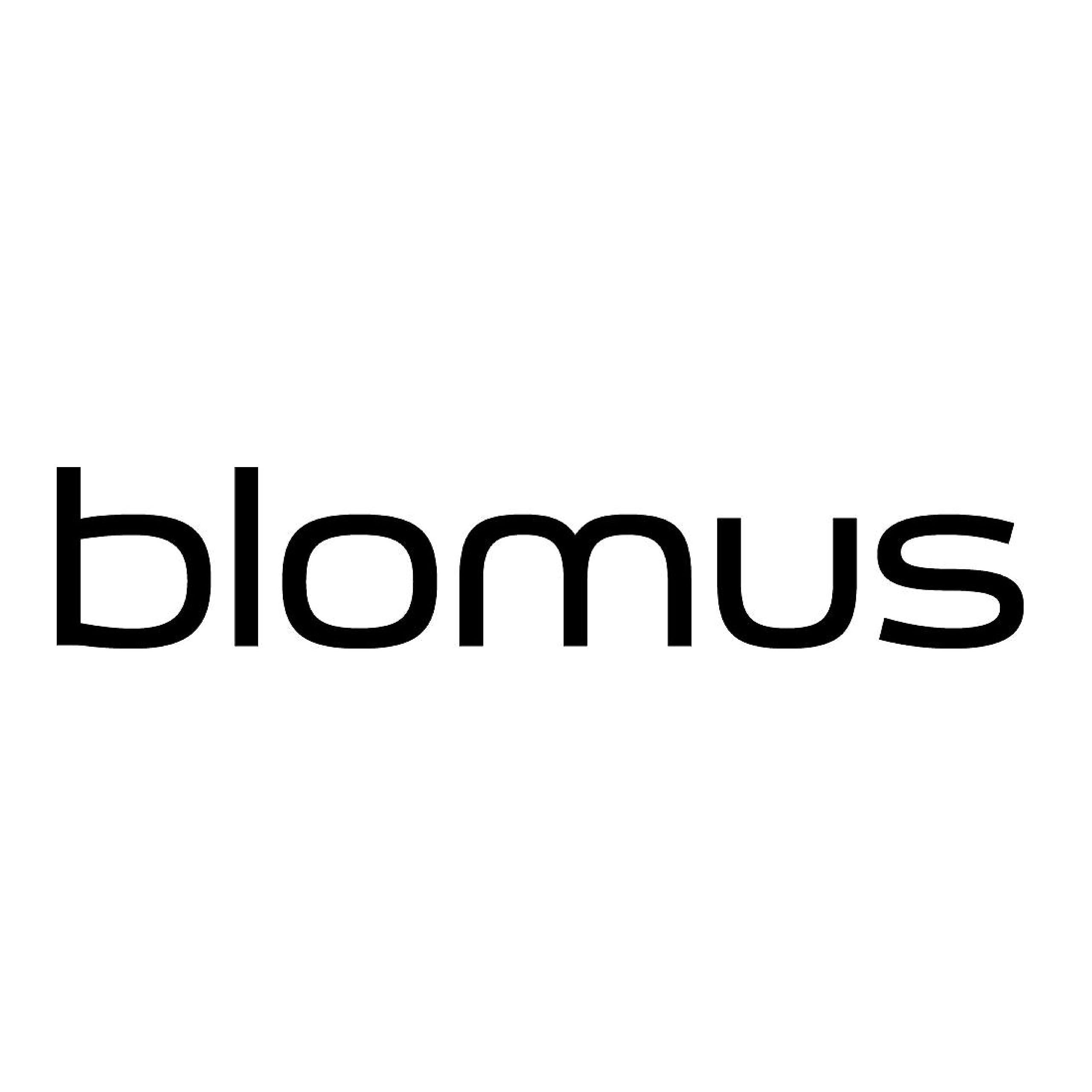 Blomus 69064 Blomus Toilet Brush, Ceramic, Plastic, Silicone, Micro Chip, H 39 Cm,  11 Cm