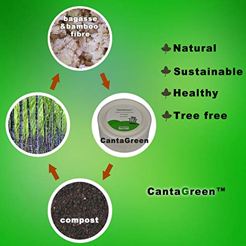 Cantagreen 6 Inch Small Compostable Dessert Plates,100 Count Heavyduty Sugarcane/Bagasse And Bamboo Fibre Biodegradable Disposab