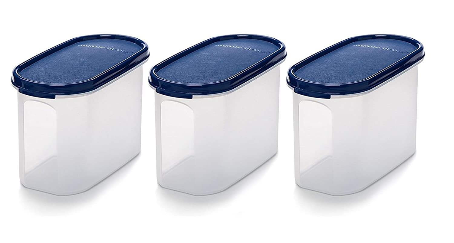 Signoraware 1.1 Litres Modular Storage Container with Lid | Food Grade Bpa-Free Plastic Jar Boxes | Freezer Microwave Safe Leak-