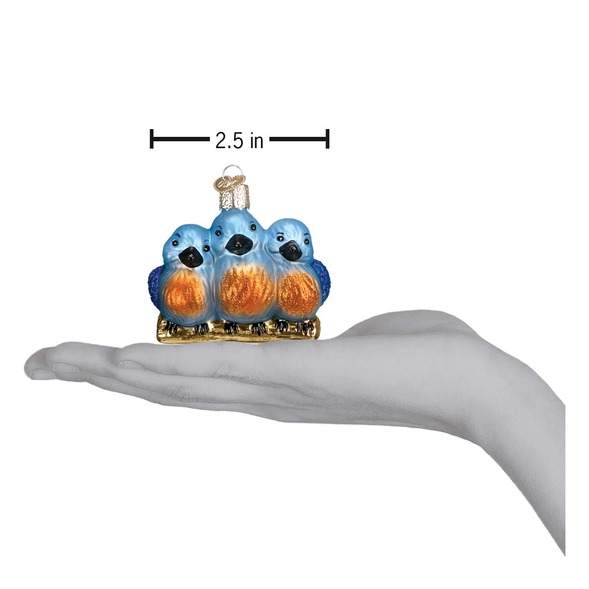 Old World Christmas Bird Watcher Collection Glass Blown Ornaments for Christmas Tree Feathered Friends
