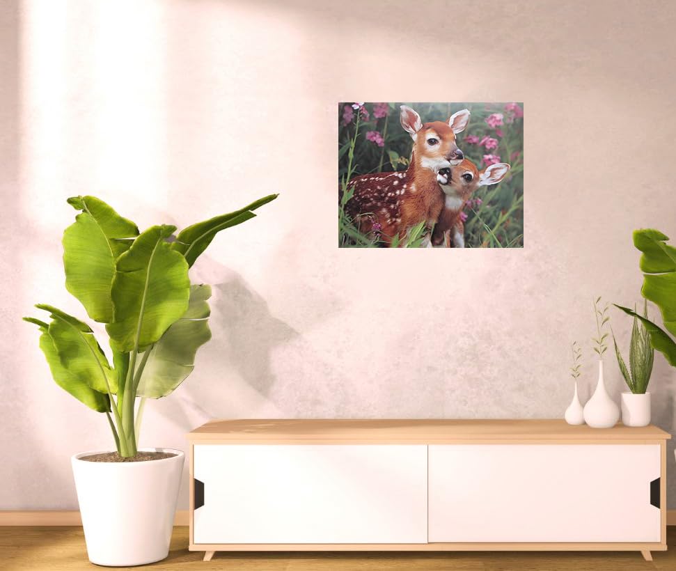 Wild Animal Whitetail Mule Deer Fawn Wall Decor Art Print Poster (16X20)