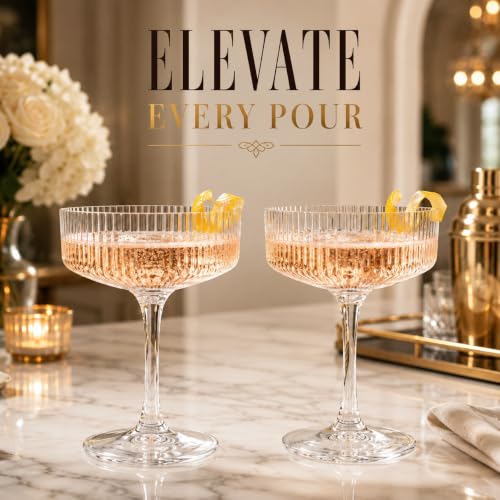 Barcelona Acrylic Champagne Coupe Cocktail Glassware, Set of 2