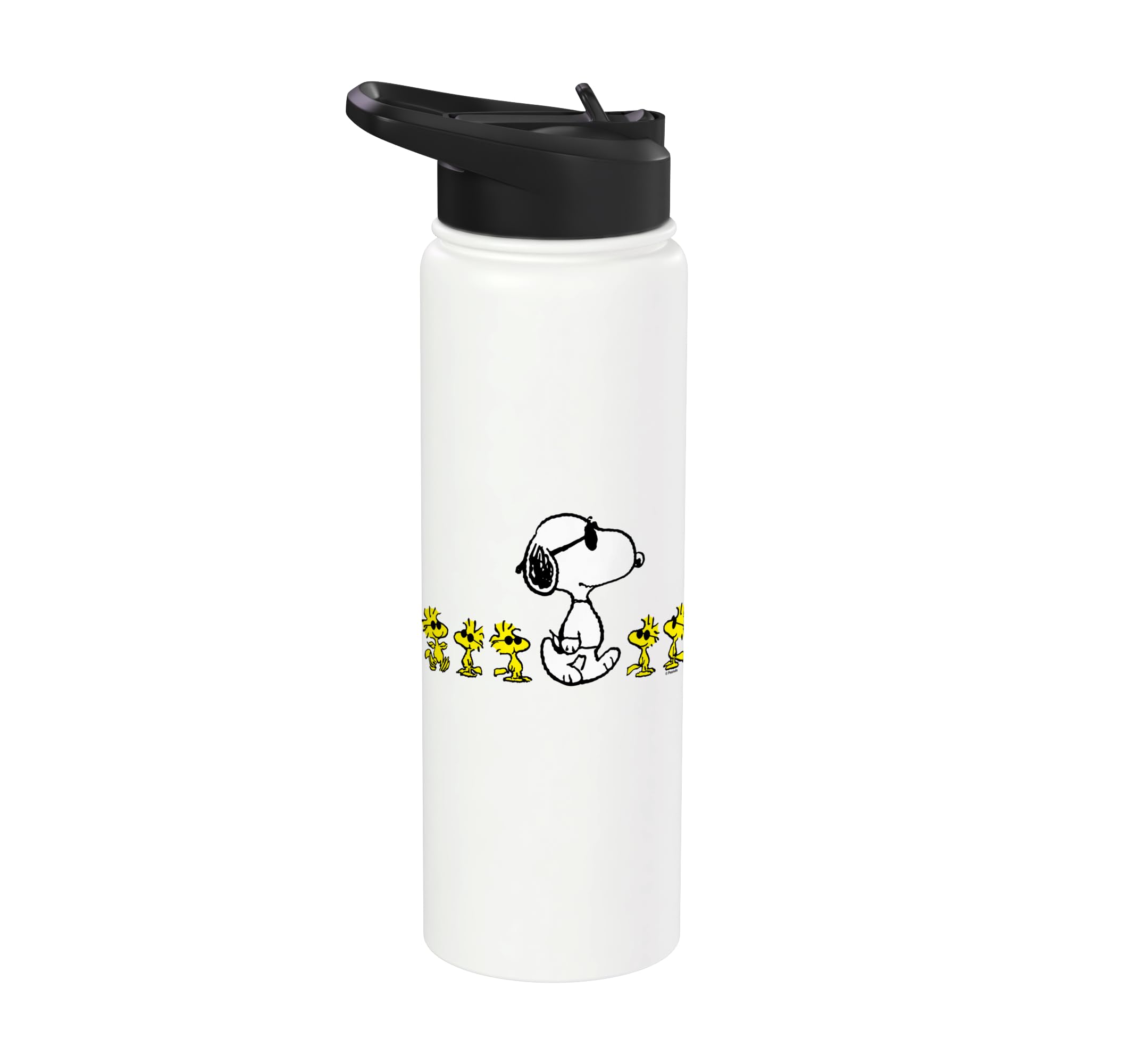 Snoopy and Woodstock Cool Crew Peanuts Design Stainless Steel Insulated Water Bottle