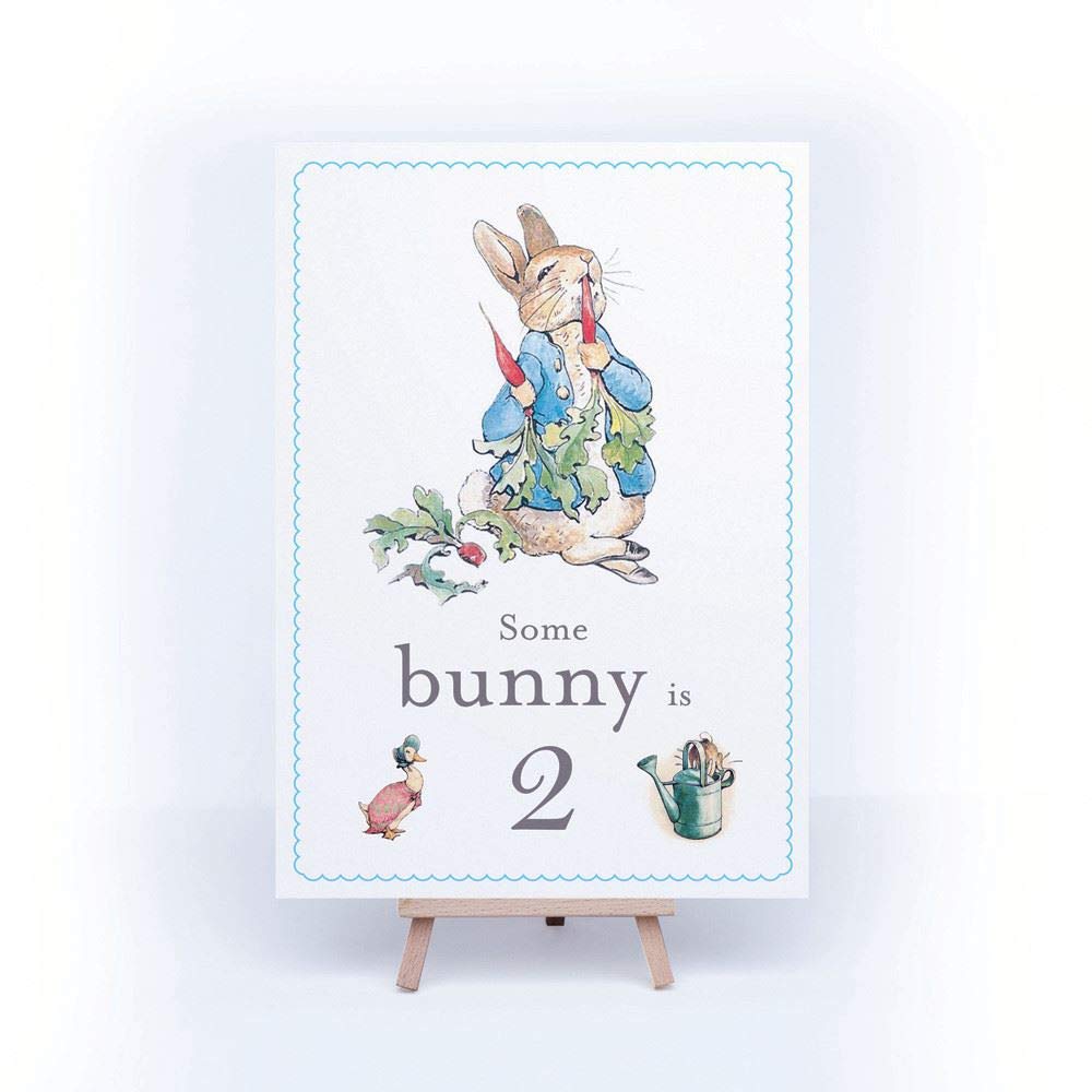 Peter Rabbit 'Some Bunny is 2' Card and Easel 2nd Birthday Decoration Sign