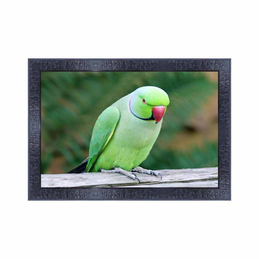 pnf Poster And Frames Parrot Framed Wall Painting | For Living Room, Bedroom | Home Decoration Item | Best Gifting Option (10 * 