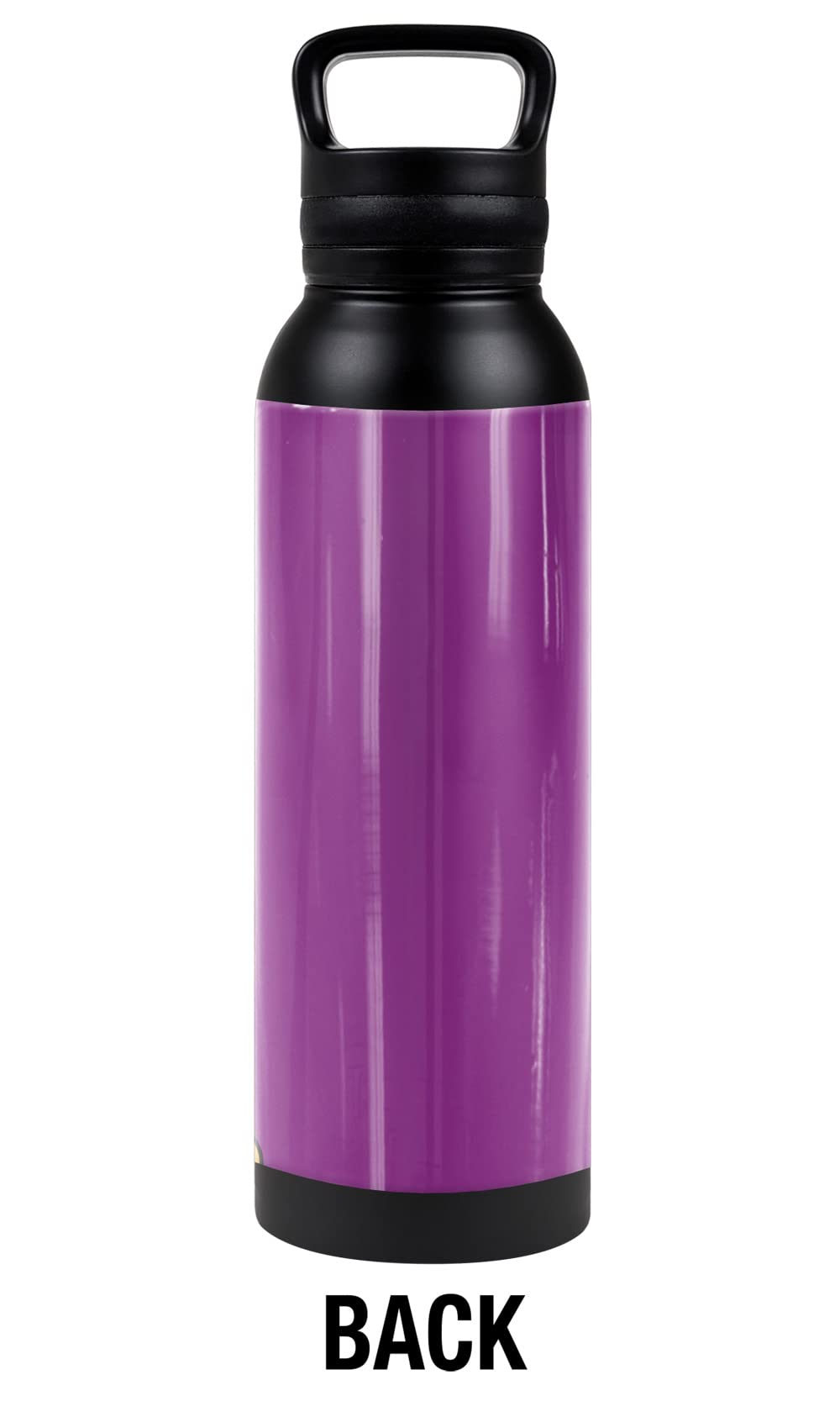 Looney Tunes Official Tweety Bird Pose 24 Oz Insulated Canteen Water Bottle, Leak Resistant, Vacuum Insulated Stainless Steel Wi
