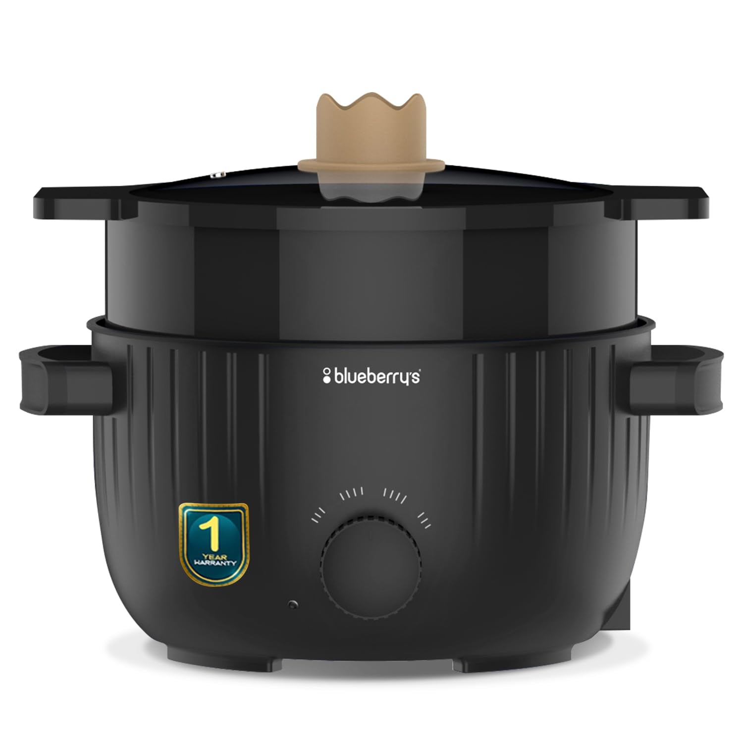 BlueberryS  - 1000-Watts Multi-Purpose Cooking Pot Electric Kettle, Dual Power Modes, Quick Boiling, Overheat Protection, Boil-