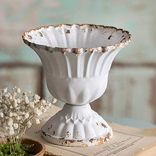 Medium Scalloped Cup - Box Of 4