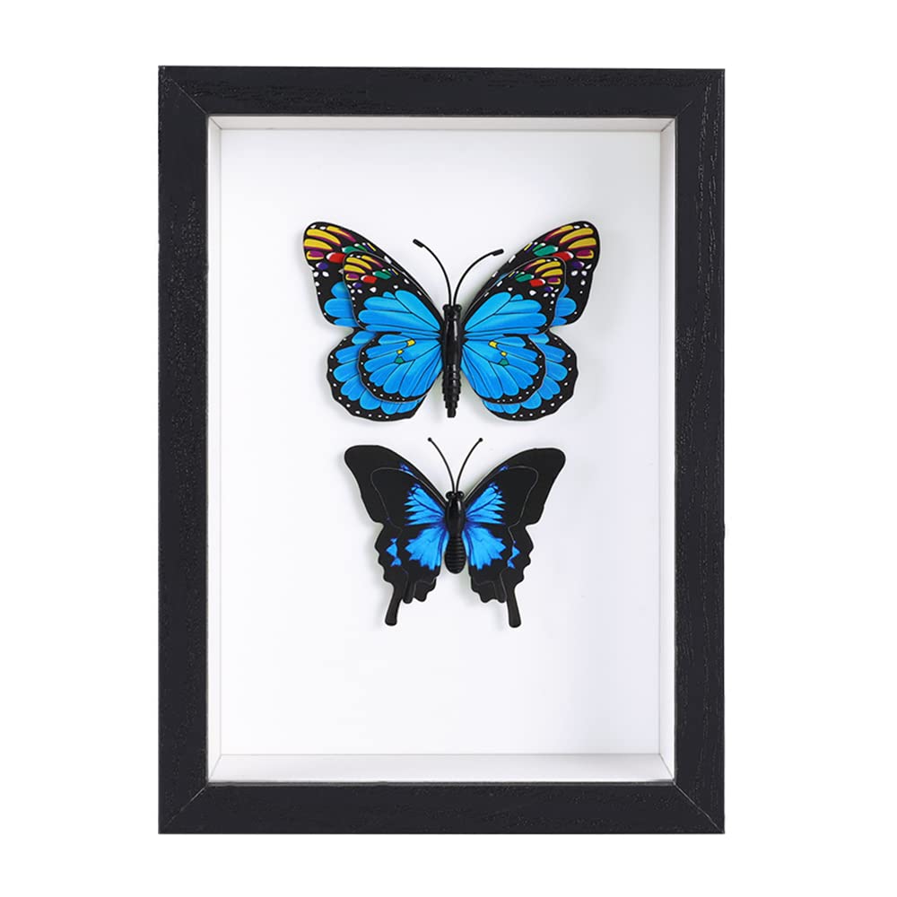 BESIDOTREE 4x6 Black Small Shadow Box Frame Display Case for Photos,Flowers,Wedding Bouquets,Awards,Insects and Memorabilia