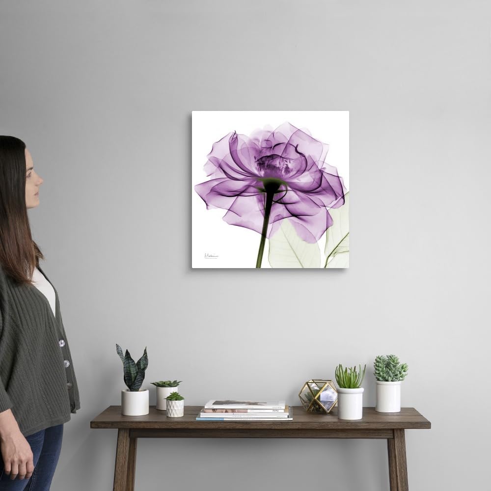 Canvas On Demand Purple Rose X-Ray Photograph Canvas Wall Art Print By Albert Koetsier, Home Decor, Artwork, 20''X20''