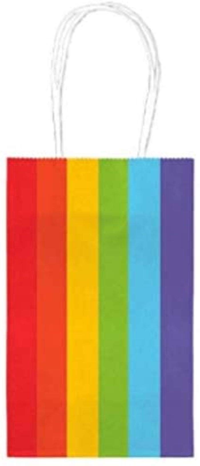 Amscan Colorful Cub Bags Value Pack  Rainbow Party Favour and Treats, 12 x 5.5, Pack of 10.