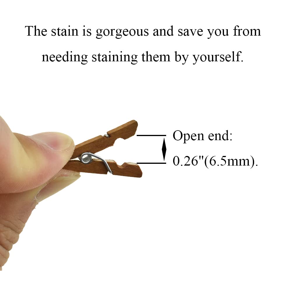 Hahiyo Brown Wooden Clothes Pins Clothespins Mini Aviod Fall Apart 1 Inches Length 80 Pack Strong Springs No Rust No Discolorati