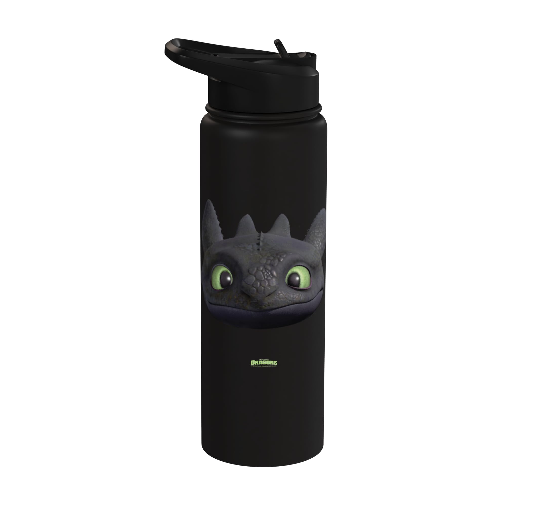 DreamWorks Dragons Toothless Night Fury Big Face Costume 3D Stainless Steel Insulated Water Bottle