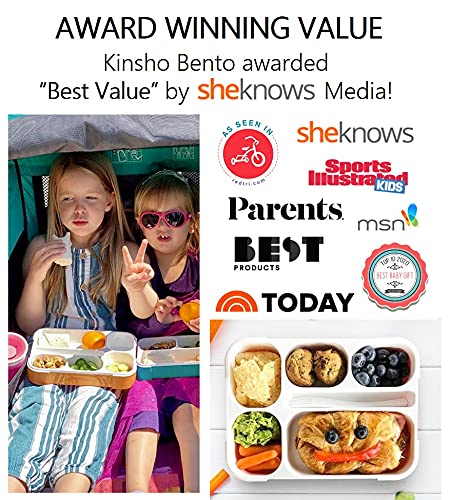Bento Lunch Box for Kids  Boys  Girls  Adults | 6 Compartment Lunch-Boxes | Leakproof School Snack or Meal Portion Container | BPA-Free Orange?