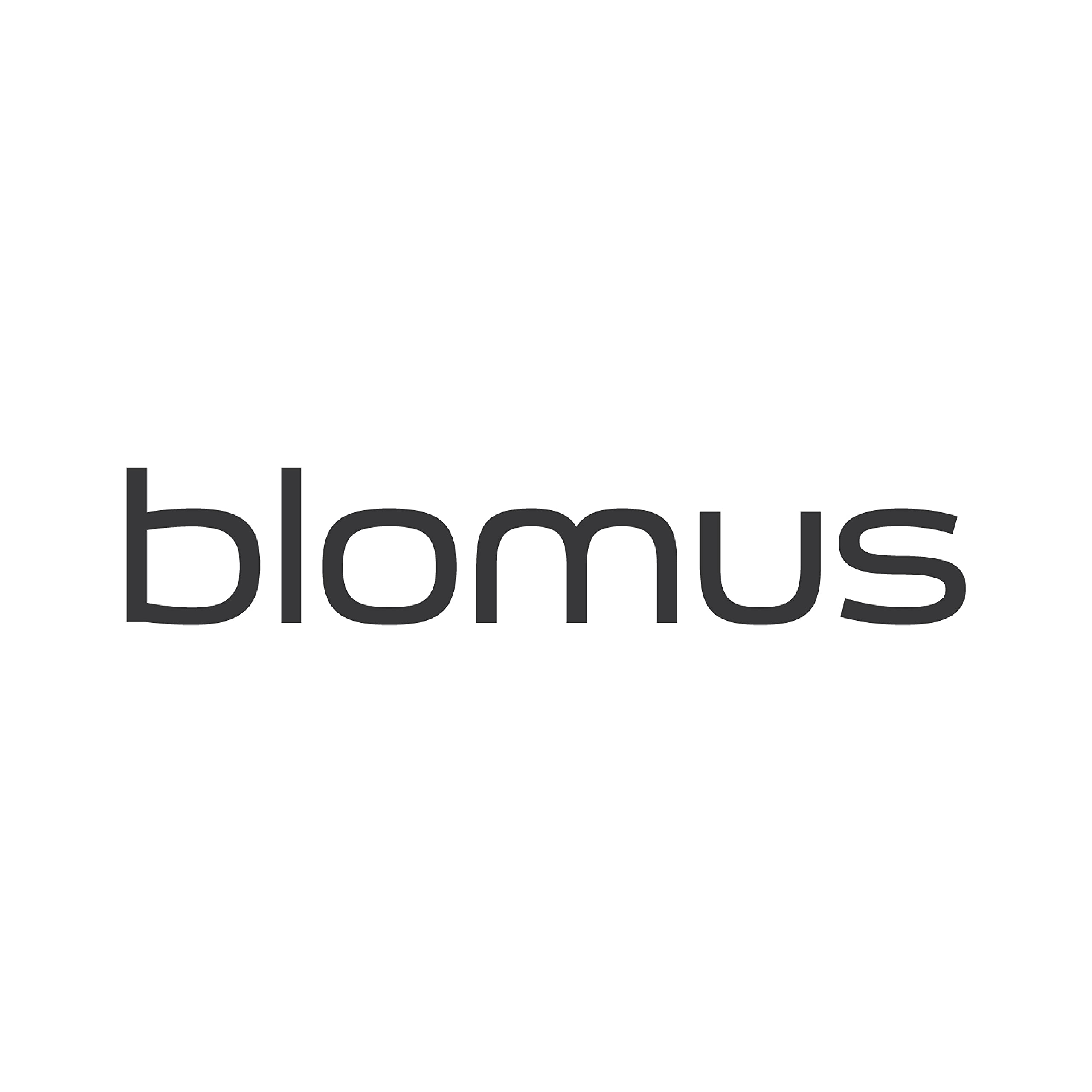 Blomus Kitchen Roll Loop Paper Towel Holder, 15 X 15 X 34 Cm, Silver/Black