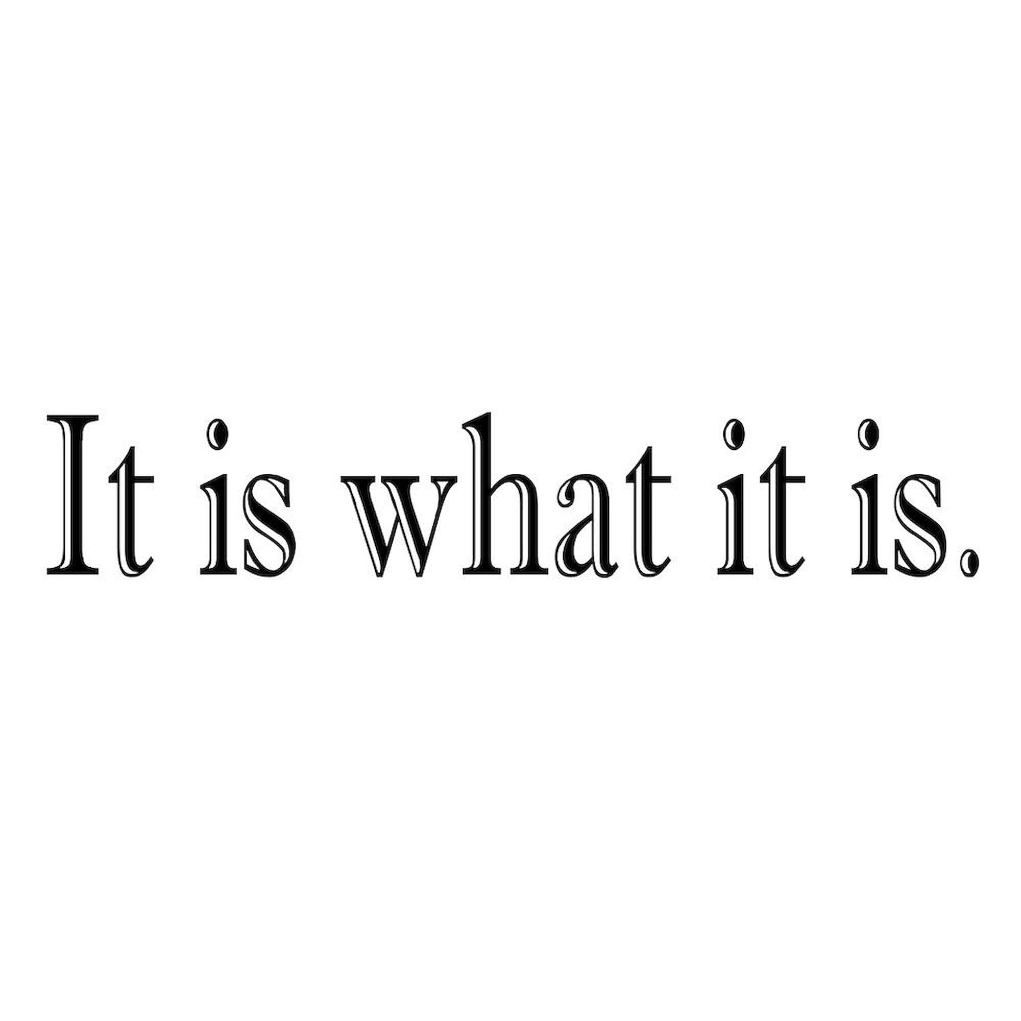 Cafepress It Is What It Is Stainless Steel Travel Mug 20 Oz. Insulated Stainless Steel Coffee Tumbler