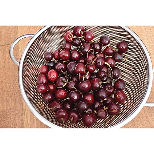 Hic Kitchen Perforated Colander, 18/8 Stainless Steel, 7.5-Inch