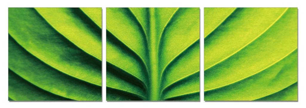 Go Hooked Mdf Wall Painting/Hanging Art/Home Decor (28 Cm X 9 Cm X 28 Cm, 3 Frames, Mdf3Sb-61141)