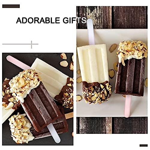 Romooa 30 Pcs cakesicle sticks Ice Cream Acrylic Reusable Cake Pop Mold colored plastic Ice Pop Sticks for Cake topper Cream Can
