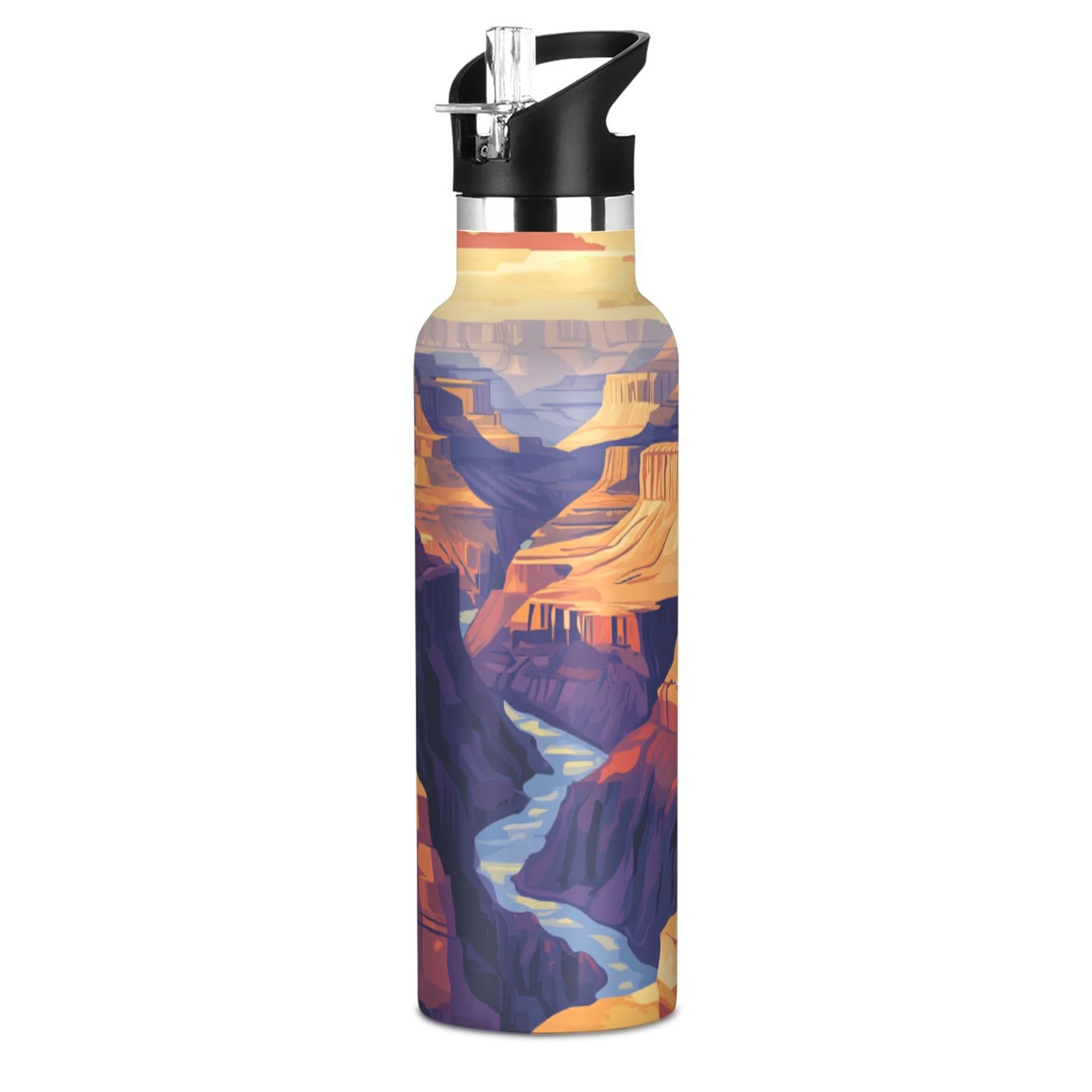 Selerdon Sports Water Bottle Grand Canyon Daytime Stainless Steel Beverage Container 20 oz Coffee Cup with Detachable Straw & Le