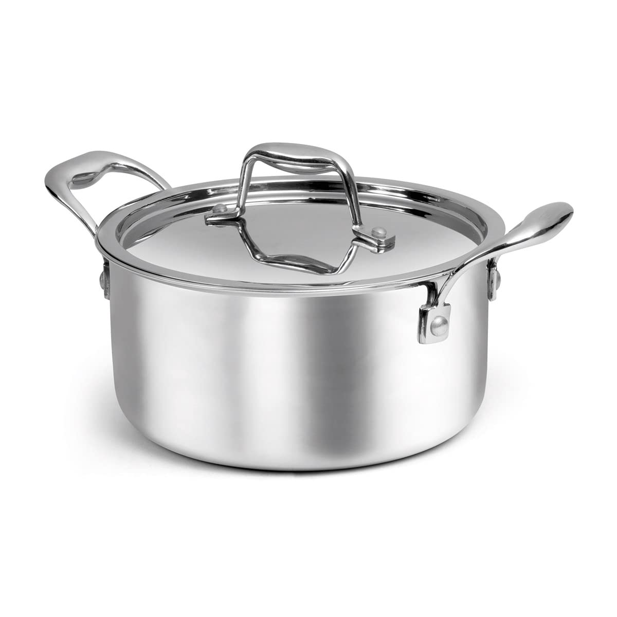 Signoraware Artista Triply Stewpot Stainless Steel Induction Compatible Triply With Steel Lid (Induction And Gas Compatible), 26