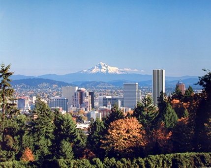 Impact Posters Gallery Portland Rose Garden Wall Decor Nature Art Print Picture Poster (16X20)
