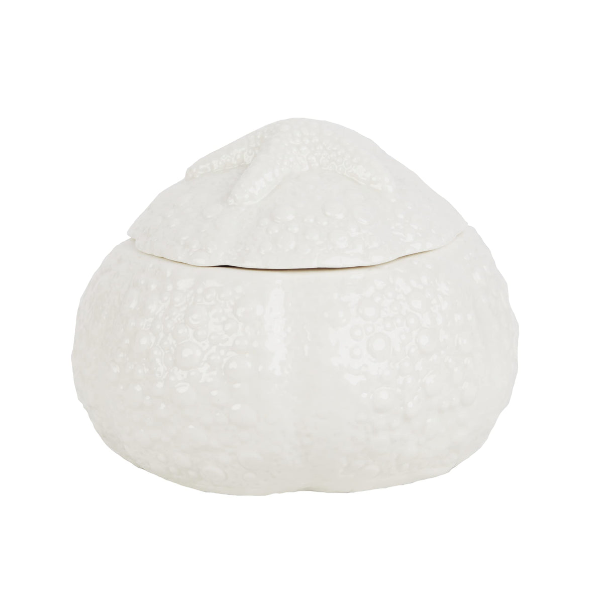 Urchin Porcelain Sugar Bowl With Lid
