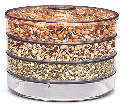 Figment Sprout Maker - Plastic Grocery Container Sprouted Grains Seeds Dal Channa Chole Ragi Organic Sprouting Jar, For Sprouted