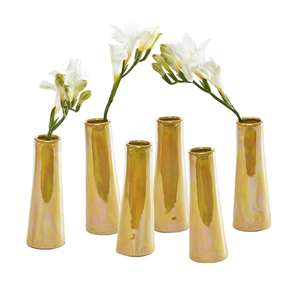 Chive - Set of 6 Galaxy, Small Cylinder Ceramic Bud Flower Vase, Unique Single Flower Decorative Floral Vase for Home Decor, Bul