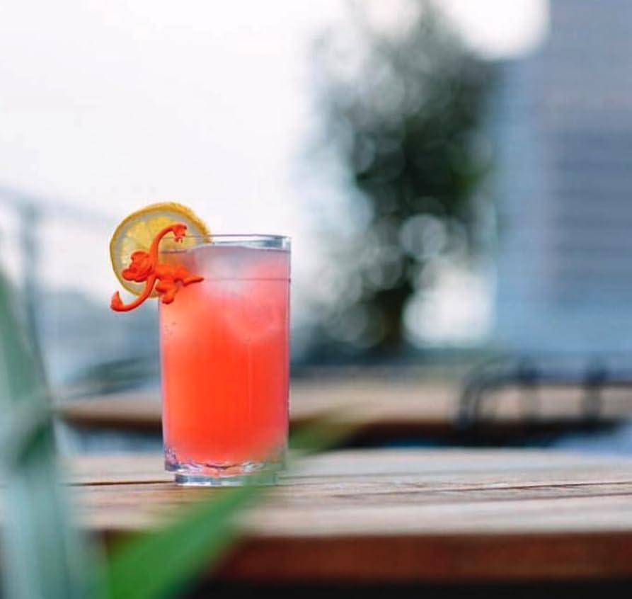 Drinique Elt-Ta-Clr-4 Elite Tall Unbreakable Tritan Highball Glasses, 14 Oz (Set Of 4), Clear