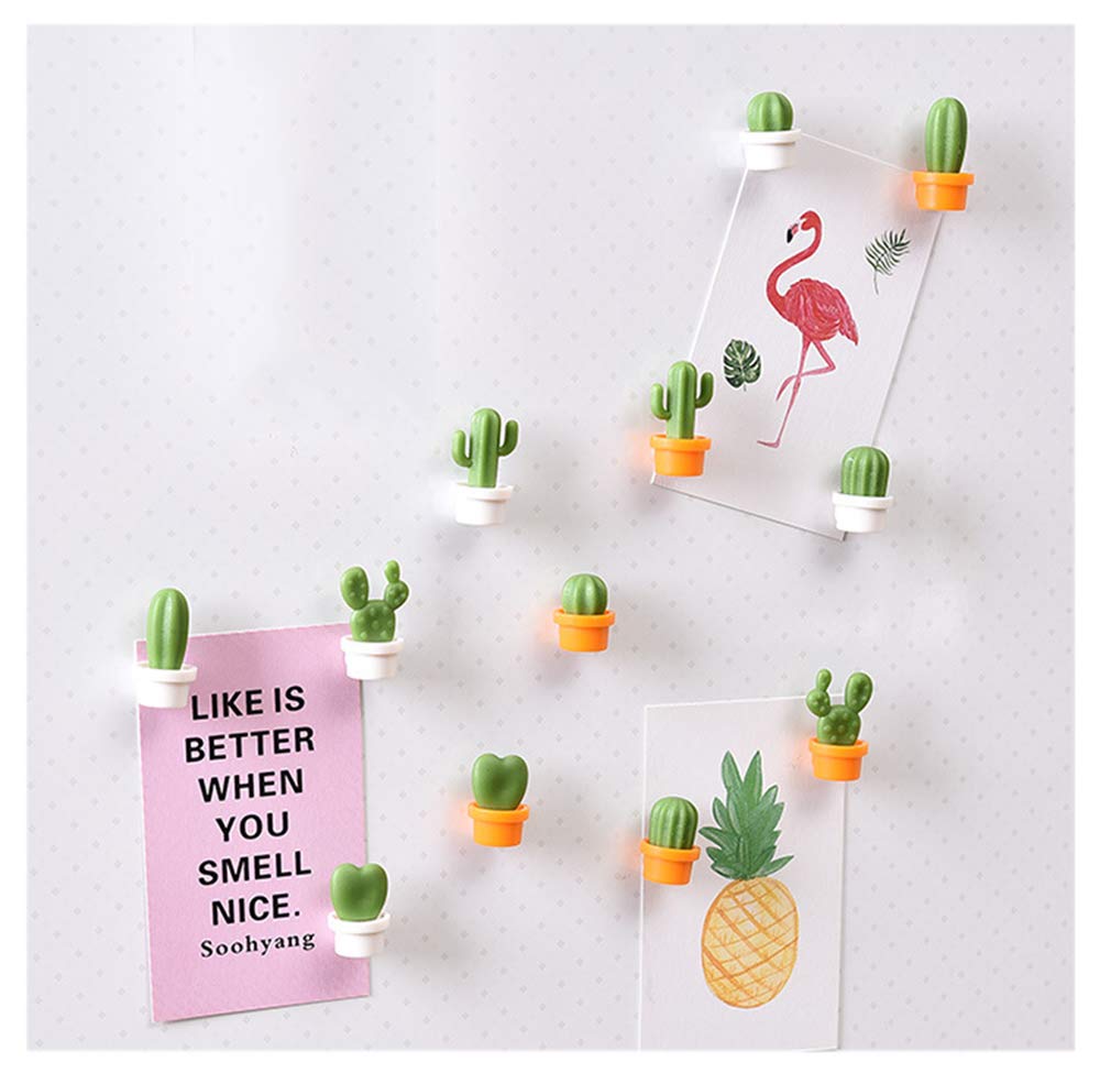 Tabenter Decorative Refrigerator Magnets, Perfect Fridge Magnets For House Office Personal Use (12Pcs Cactus)