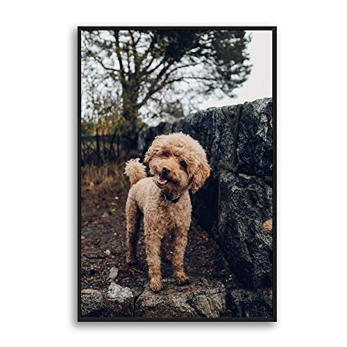Nwt Custom Framed Canvas Prints With Your Photo For Pets, Personalized Canvas Wall Art For Living Room, Bedroom - 16X24 Inches