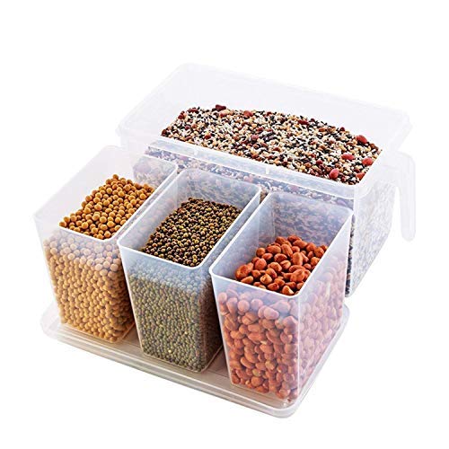 Anugrah Refrigerator Organizer Container Square Handle Kitchen Vegetables Food Storage Organizer For Kitchen, Pantry, Cabinets 