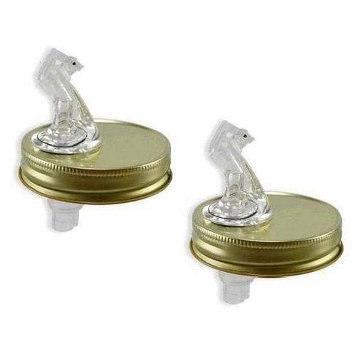 Mason Jar Pouring Spout Regular Jar Size 2 Pack (With Flipper)