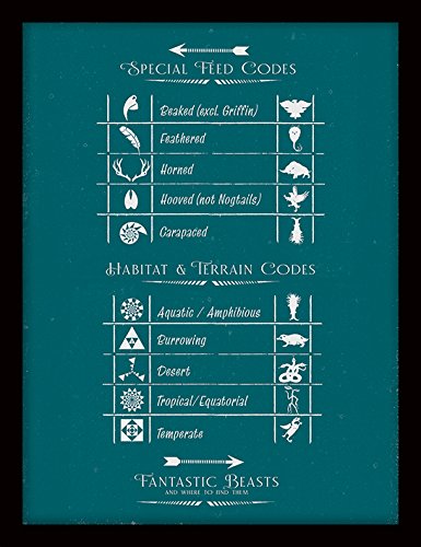 Fantastic Beasts Chart Framed 30 X 40Cm Print, Mdf, Multi-Colour, 30 X 40 Cm
