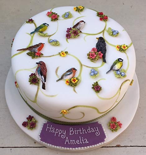 Katy Sue Blossoms & Birds Silicone Mold For Cake Decorating & Crafts. Use With Fondant, Sugar Paste, Air Dry Clay, Salt Dough. F