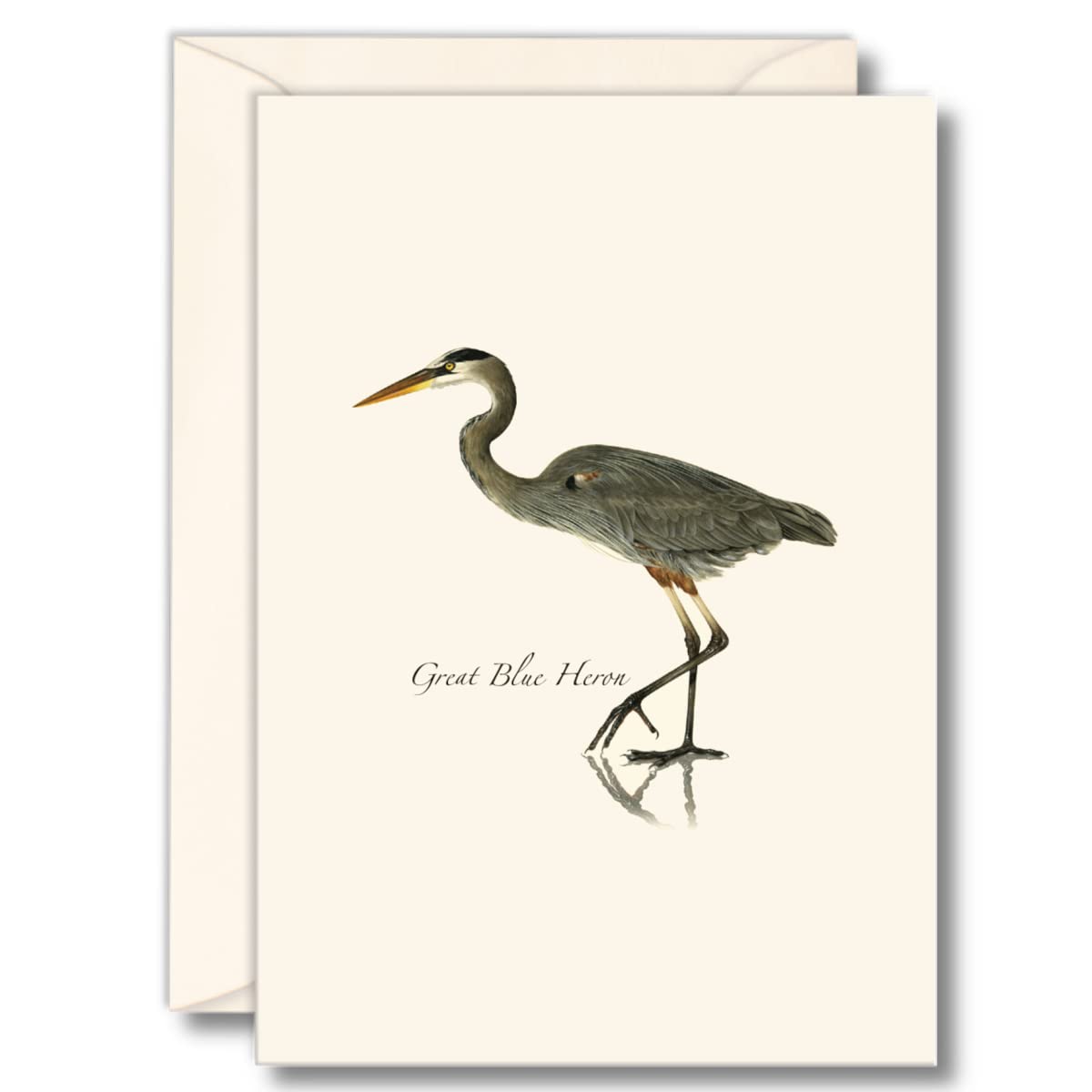 Earth Sky + Water - Great Blue Heron Notecard Set - 8 Blank Cards With Envelopes