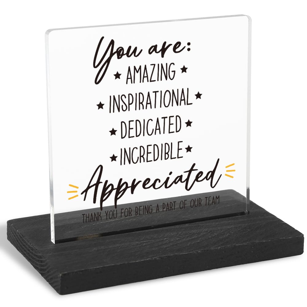 FOUGSTA You Are Appreciated, Employee Appreciation Gift, Thank You Gift, Appreciation Gift, Modern Transparent Acrylic Desk Plaq