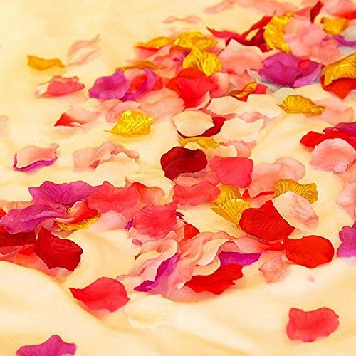 Neo LOONS 1000 Pcs Artificial Silk Rose Petals Decoration Wedding Party Color Lavender & Purple