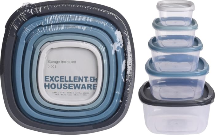 Styxon Excellent Houseware Food Storage Box | Set Of 5 | Refrigerator Storage, Vegetables And Fruits Food Storage Box With Silic