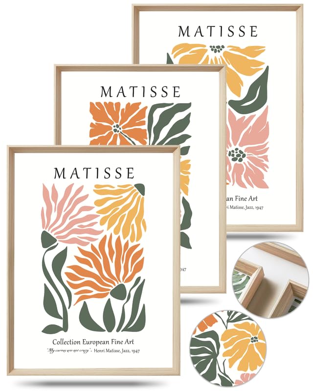 Upwoigh Framed Wall Art, Matisse Flower Market Prints,Set Of 3 Wood Canvas Wall Art,12''X16'' Cotton Pattern Botanical Wall Art