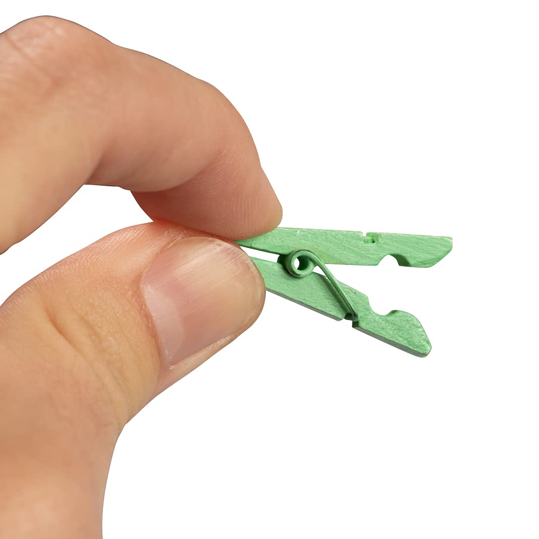 Jam Paper Wood Clip Clothespins - Standard - 1 3/8 Inch - Green - 20 Clothes Pins/Pack
