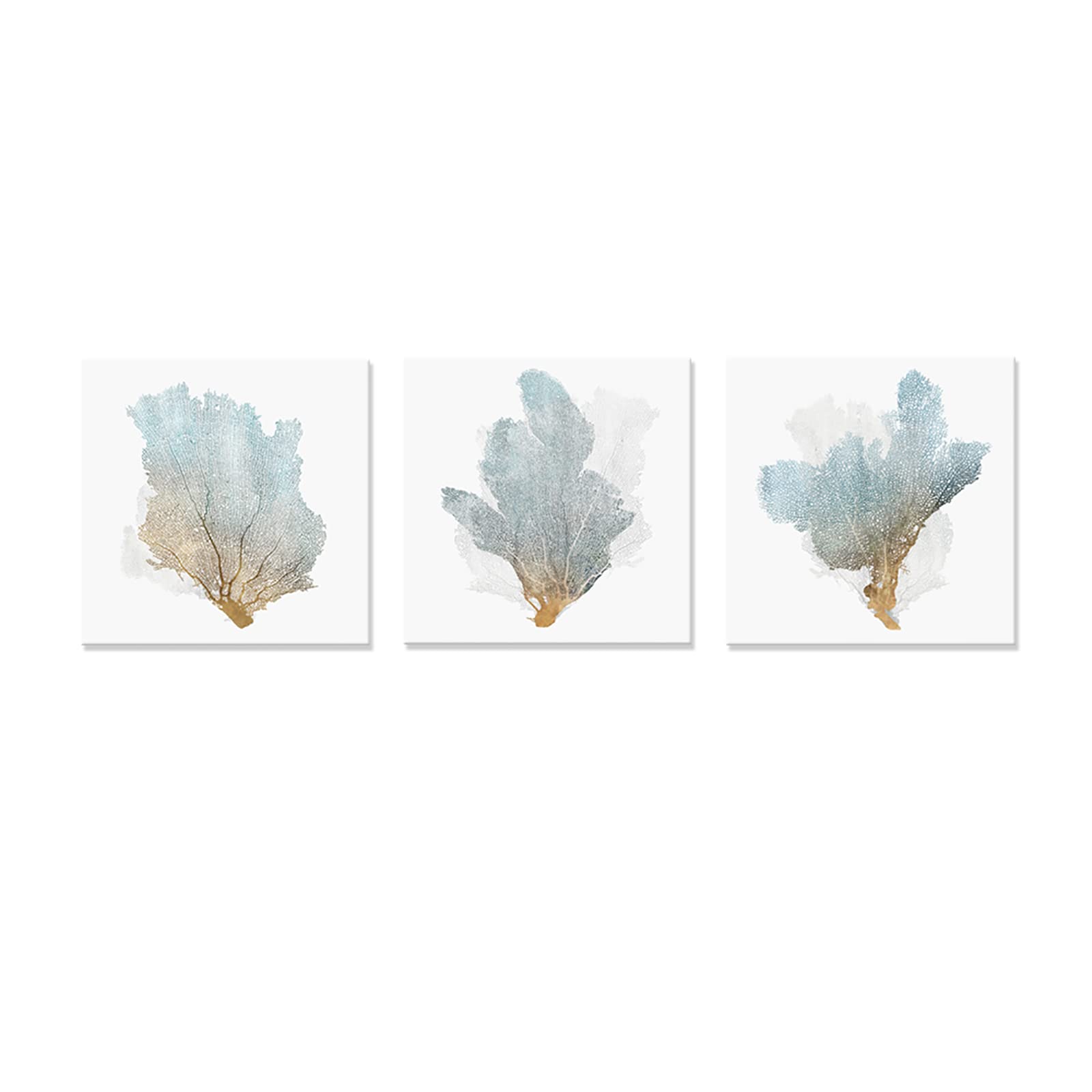 Japo Art 3 Piece Delicate Coral Wall Decor For Bedroom Coastal Wall Art Home Decor Framed Sea Fan Pictures Nautical Prints Artwo